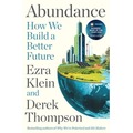 Abundance. How We Build a Better Future