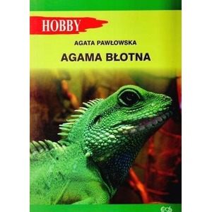 Agama błotna
