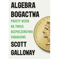 Algebra bogactwa. Prosty wzór na twoje bezpieczeństwo finansowe