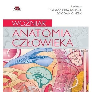Anatomia człowieka. Woźniak