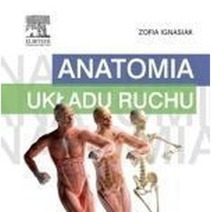 Anatomia układu ruchu