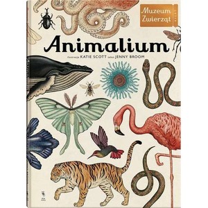 Animalium muzeum zwierząt wyd. 3
