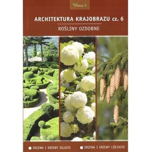 Architektura krajobrazu 6 Rośliny ozdobne: drzewa