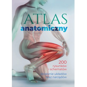 Atlas anatomiczny