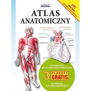 Atlas anatomiczny