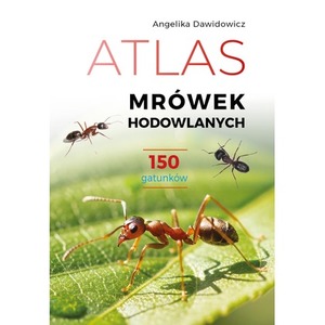 Atlas mrówek hodowlanych. 150 gatunków