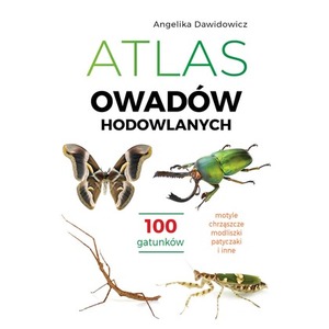 Atlas owadów hodowlanych. 100 gatunków