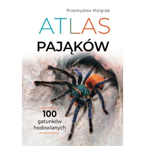Atlas pająków