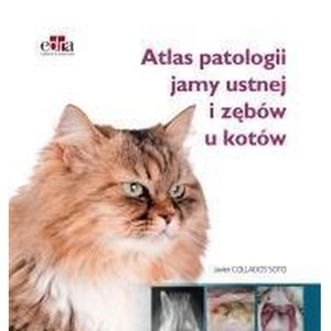 Atlas patologii jamy ustnej i zębów u kotów