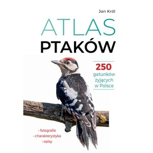 Atlas ptaków. 250 gatunków żyjących w Polsce