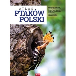 Atlas ptaków Polski TW