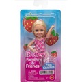 Barbie Family & Friends Doll