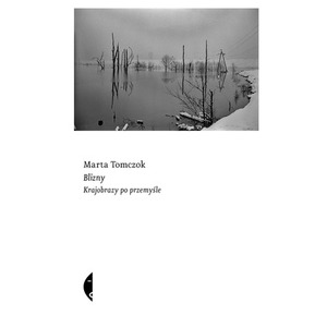 Blizny. Krajobrazy po przemyśle
