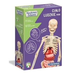 Ciało ludzkie mini