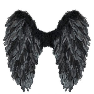 Czarne skrzydła naturalne pióra