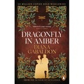 Dragonfly In Amber