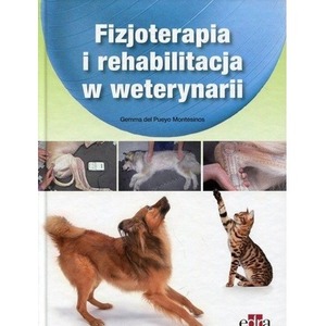 Fizjoterapia i rehabilitacja w weterynarii