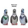 Gołąb "Wrocław" 22cm MIX