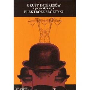 Grupy intersów a prywatyzacja elektroenergetyki