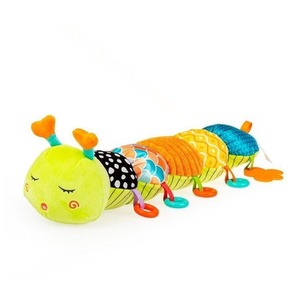 Gąsienica Tomek z miarką