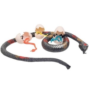 Gumowy wąż 66cm z jajami