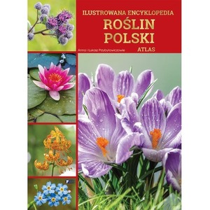 Ilustrowana encyklopedia roślin Polski. Atlas