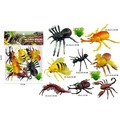 Insekty