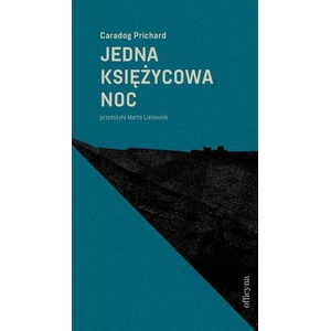 Jedna księżycowa noc