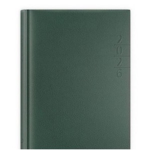 Kalendarz 2026 A5 dzienny Lux złocony zielony