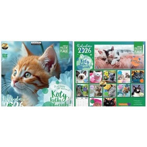 Kalendarz 2026 classic Koty kotki i kociaki