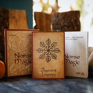 Karty Tarot Norse Magic
