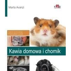 Kawia domowa i chomik