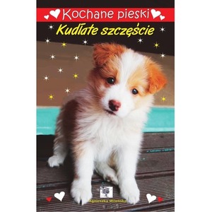 Kochane pieski. Kudłate szczęście