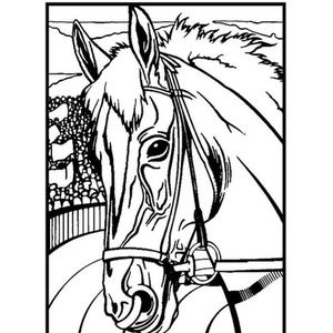 Kolorowanka Welwetowa 29,7x21 Koń Profil
