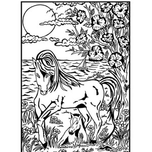 Kolorowanka Welwetowa 29,7x21 Konie