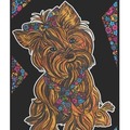Kolorowanka welwetowa A4 Yorkshire Terrier