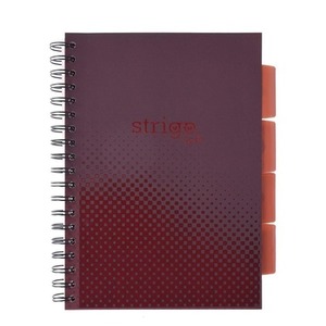 Kołozeszyt Pads B5/100K kratka Basic bordowy