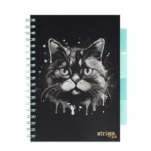 Kołozeszyt Pads B5/100K kratka Kot