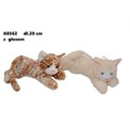 Kot glos 29cm MIX
