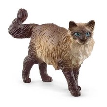 Kot ragdoll
