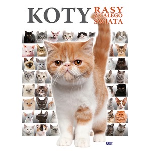 Koty. Rasy z całego świata