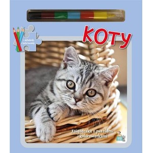 Książeczki z puzzlami Koty