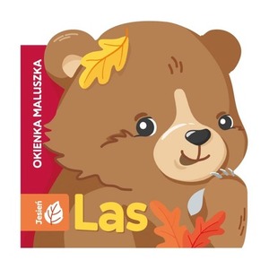 Las. Okienka maluszka