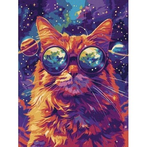 Malowanie po numerach - Gwiezdne okulary 30x40cm