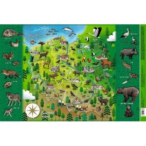 Mappuzzle Junior - Zwierzęta Polski - podkładka