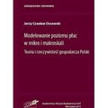 Modelowanie poziomu płac w mikro i makroskali....