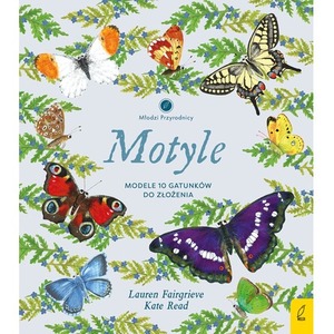 Motyle. Modele 3D. Młodzi przyrodnicy
