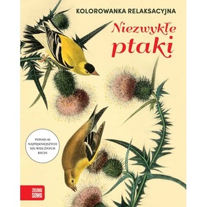 Niezwykłe ptaki. Kolorowanka relaksacyjna