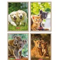 Notatnik A6/40K kratka Animals (10szt) HERLITZ