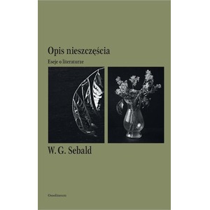 Opis nieszczęścia. Eseje o literaturze